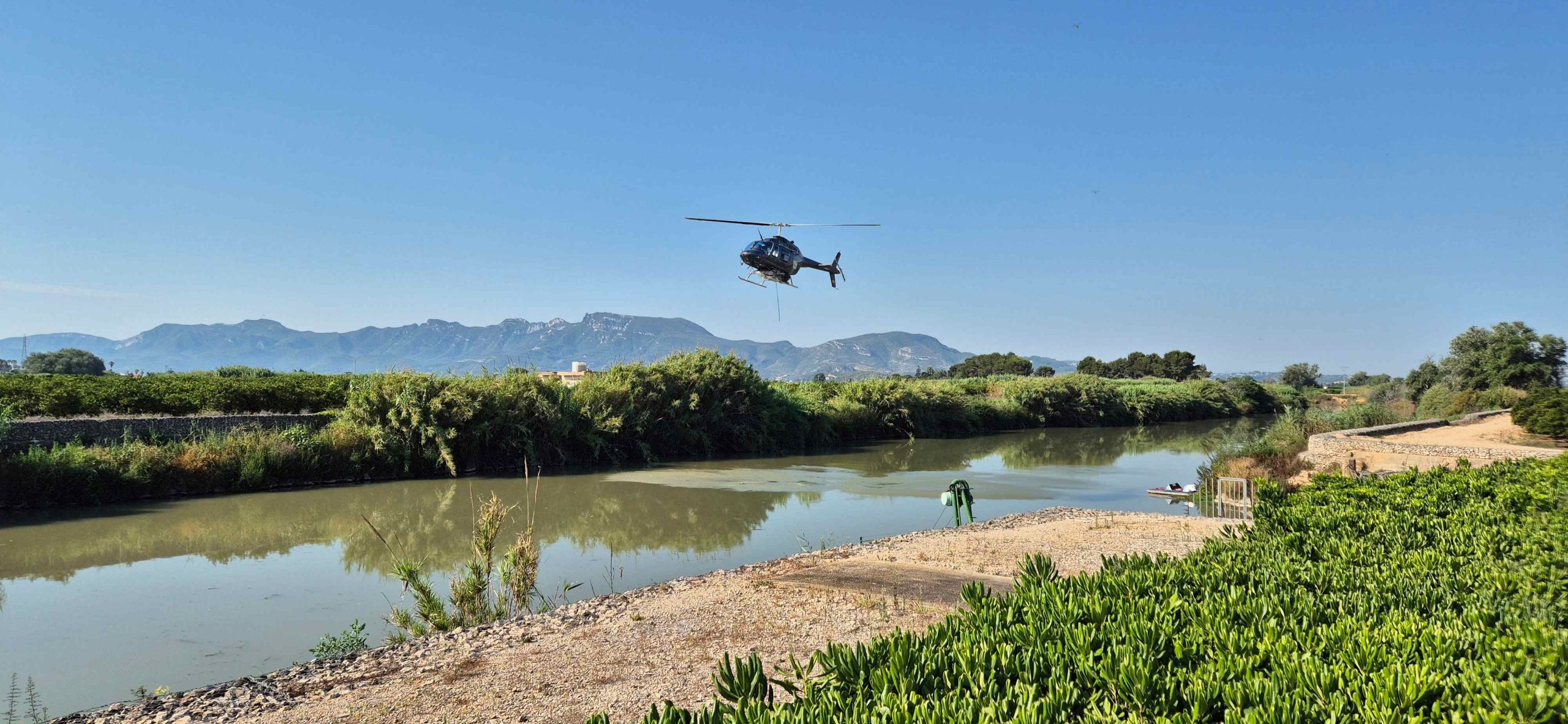 El Consorci de la Ribera coordina la campaña del tratamiento aéreo contra la mosca negra